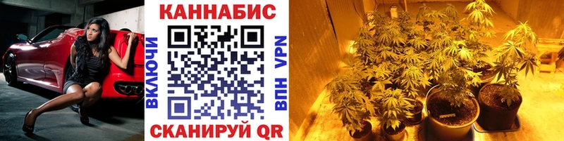 Бошки Шишки гибрид  hydra онион  Жигулёвск  закладки 